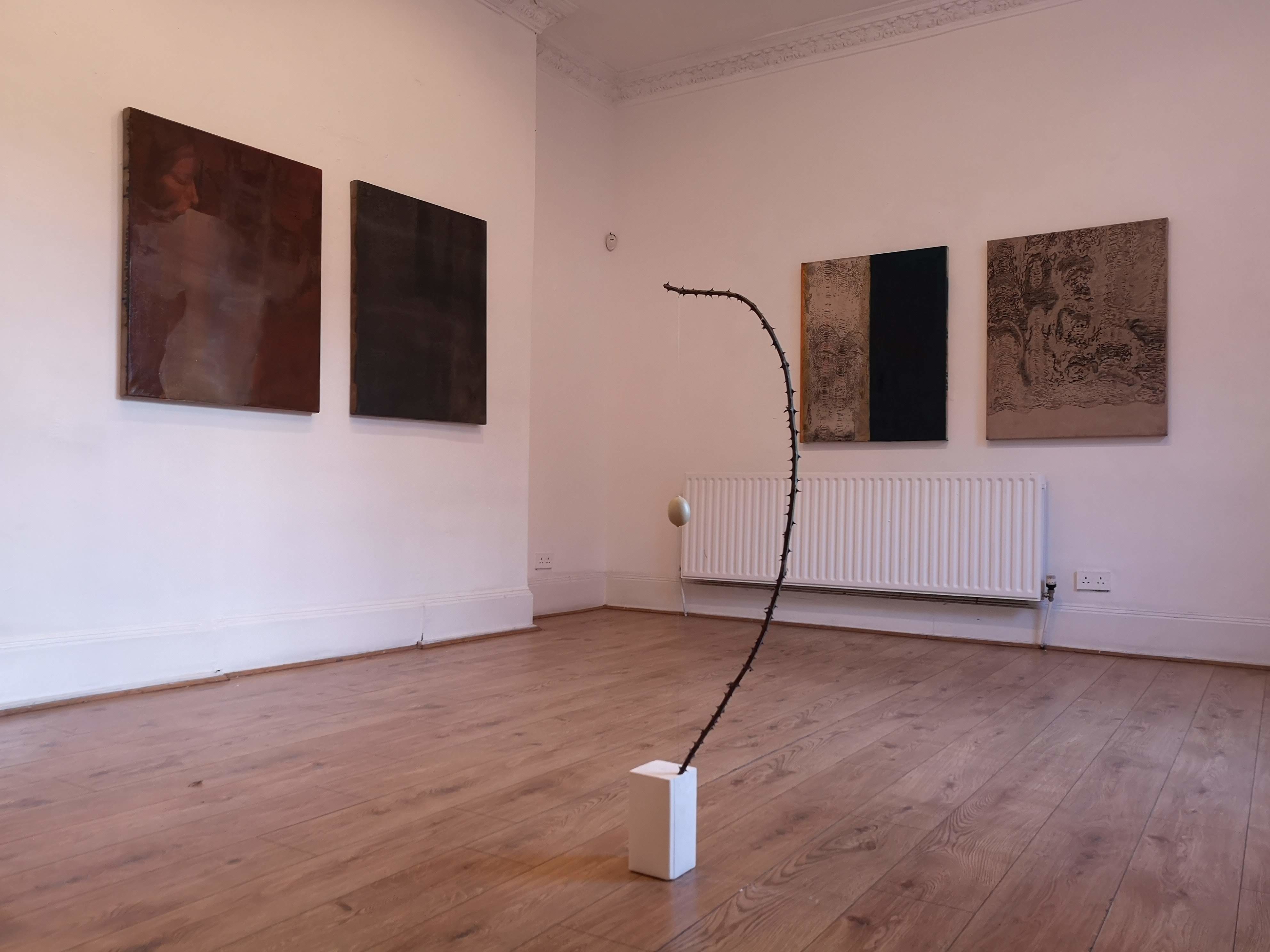 Installation view of 'In + Around', 2018.